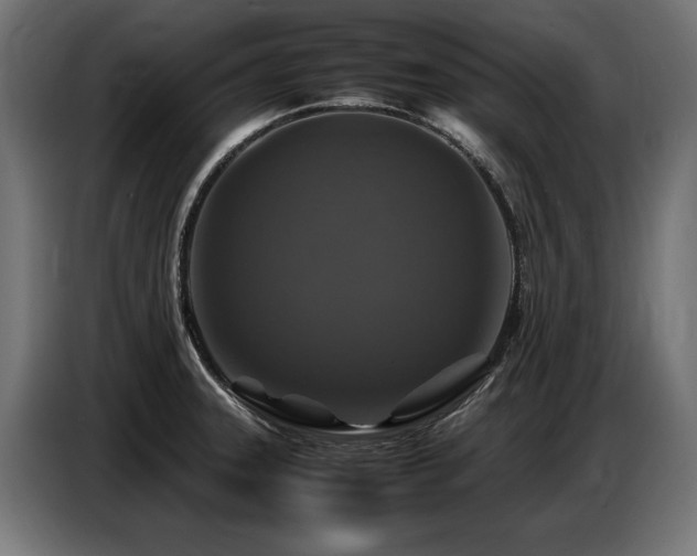 X0000087711331200705041051