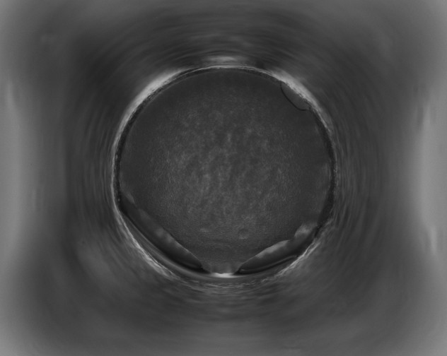 X0000087711333200705041051