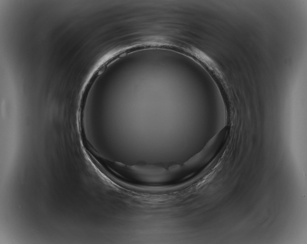 X0000087711334200705041051