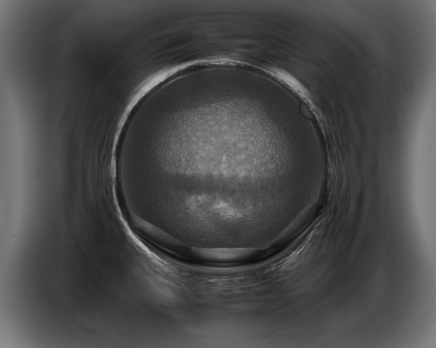 X0000087711335200705041051