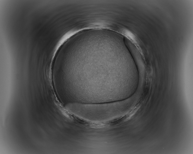 X0000087711336200705041051