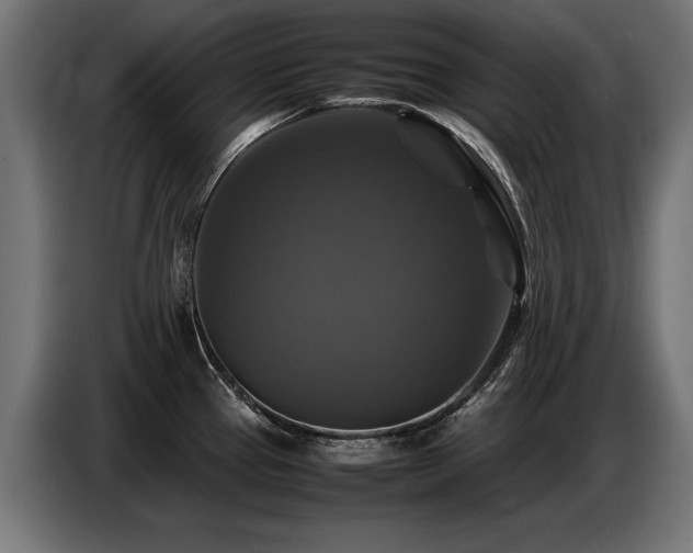 X0000087711337200705041051