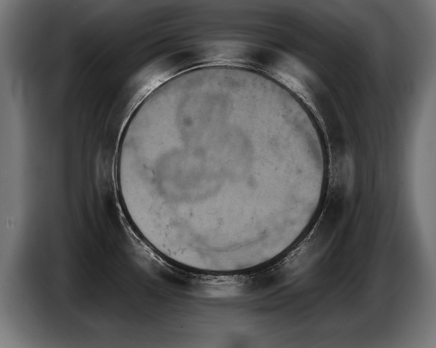 X0000087711338200705041051