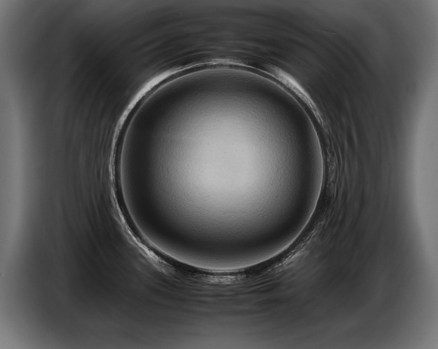 X0000087711339200705041051