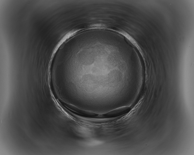 X0000087711341200705041051