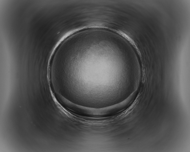 X0000087711342200705041051