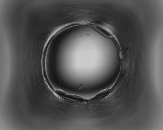 X0000087711343200705041051