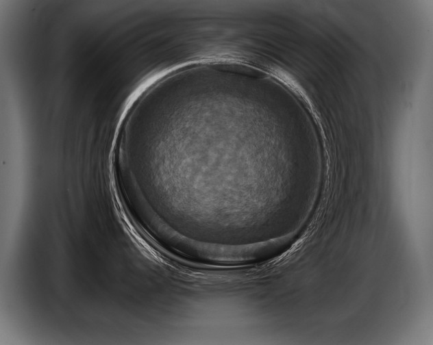 X0000087711344200705041051