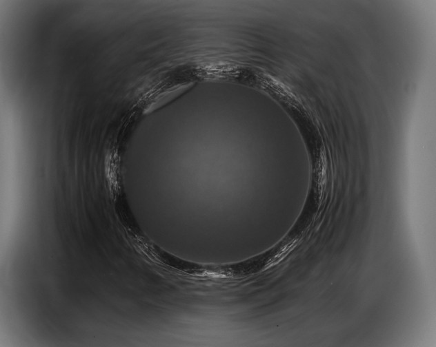 X0000087711346200705041051