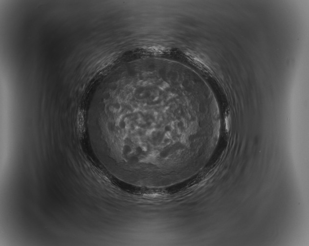X0000087711347200705041051