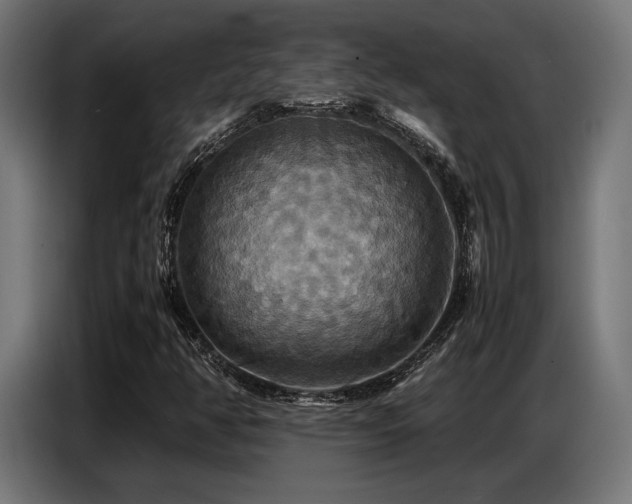 X0000087711350200705041051
