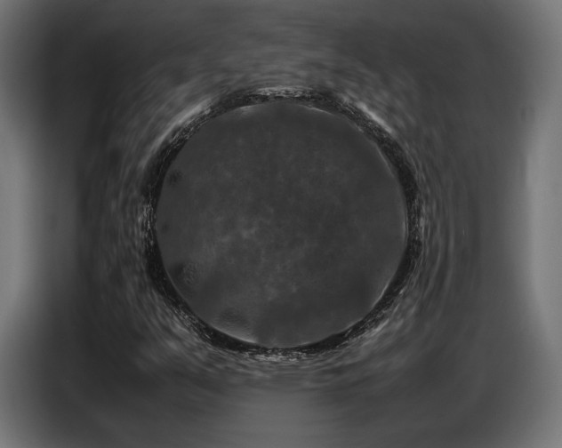 X0000087711351200705041051