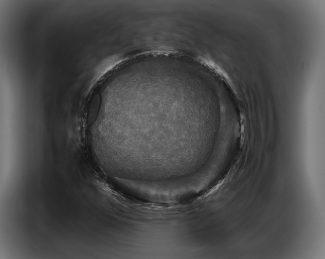 X0000087711352200705041051