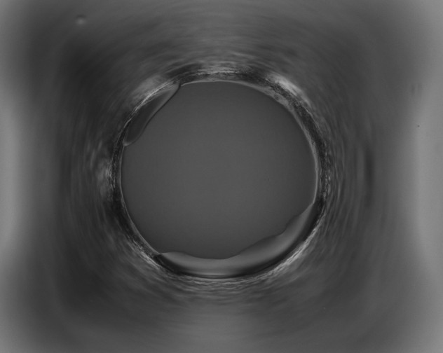 X0000087711353200705041051