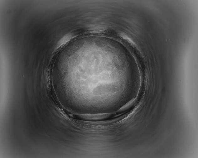 X0000087711354200705041051