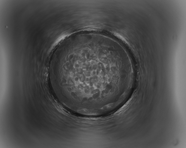 X0000087711355200705041051
