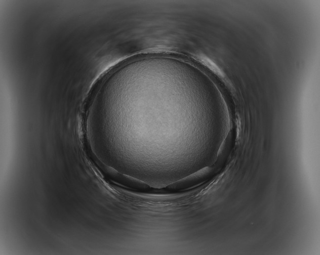 X0000087711356200705041051