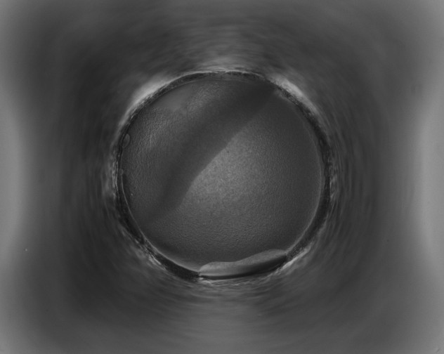 X0000087711358200705041051
