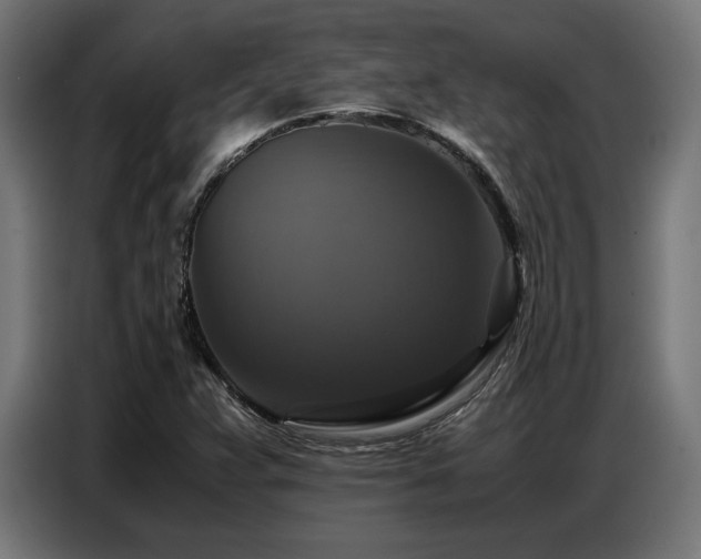 X0000087711359200705041051