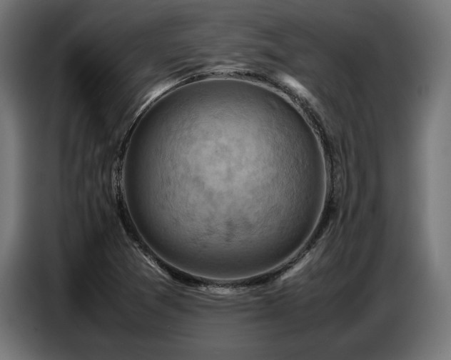 X0000087711361200705041051