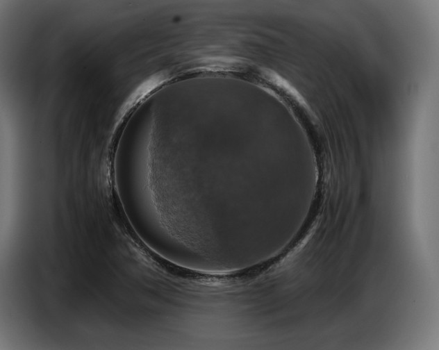 X0000087711362200705041051