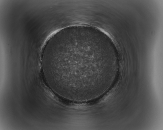 X0000087711363200705041051