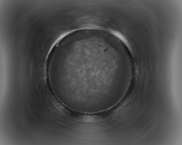 X0000087711364200705041051