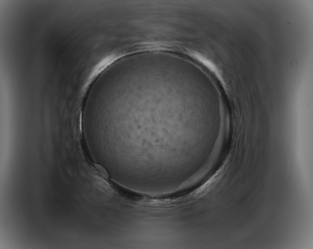 X0000087711365200705041051