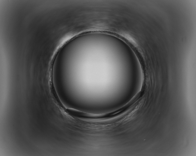 X0000087711366200705041051