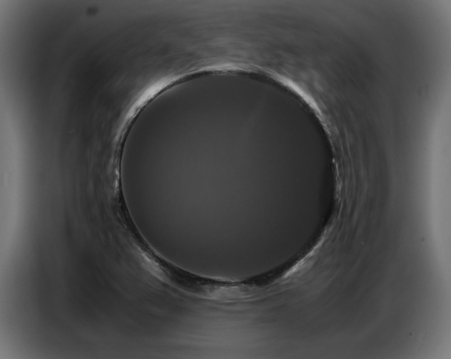 X0000087711367200705041051