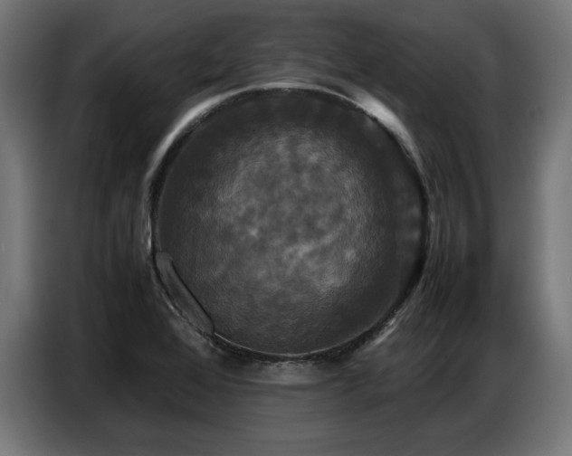 X0000087711368200705041051