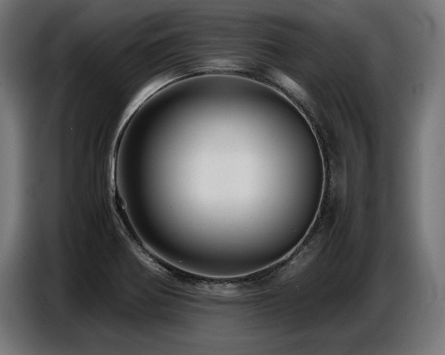 X0000087711370200705041051