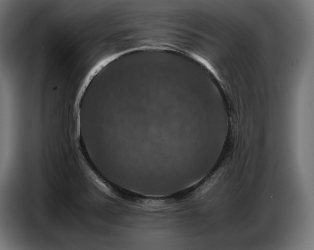 X0000087711371200705041051