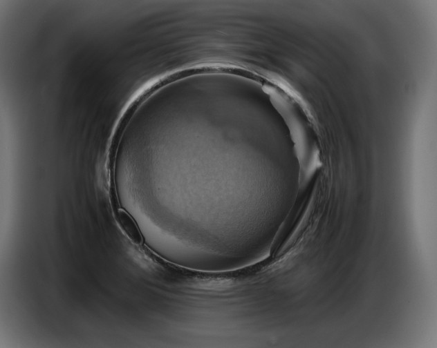 X0000087711372200705041051