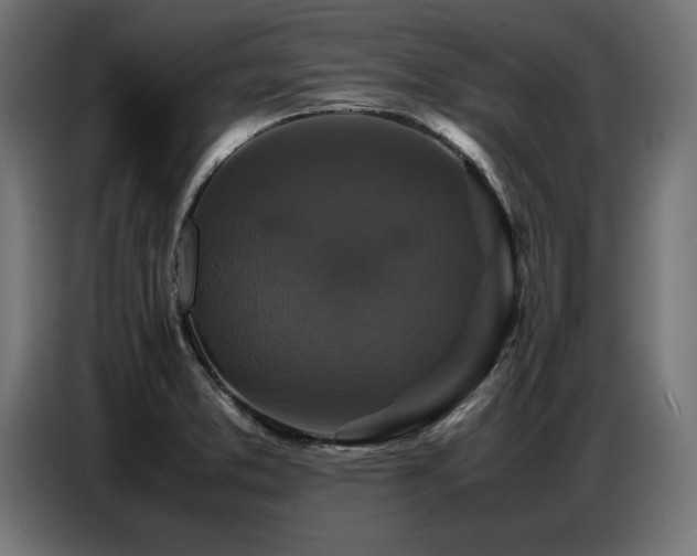 X0000087711373200705041051