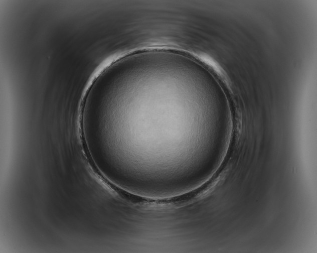 X0000087711374200705041051