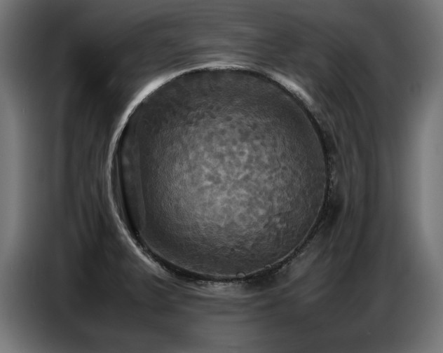 X0000087711375200705041051