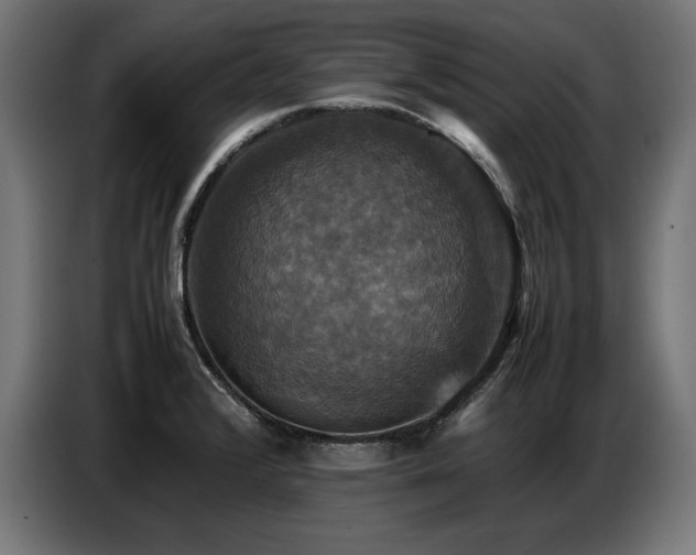 X0000087711376200705041051