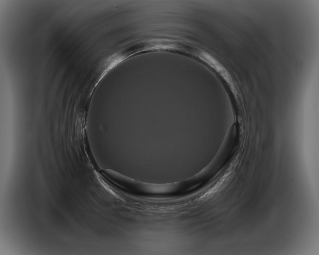 X0000087711377200705041050