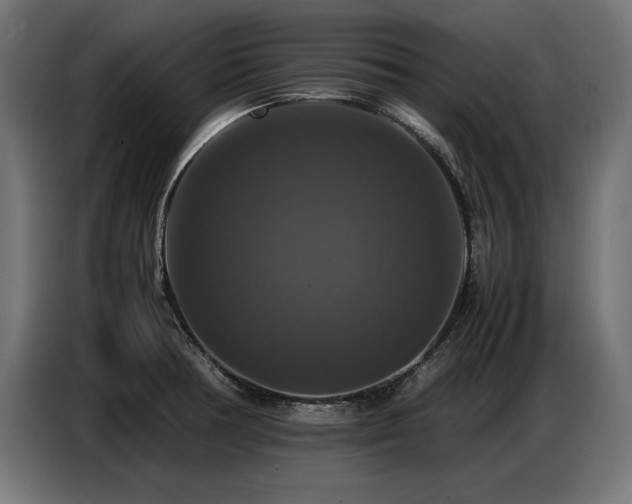 X0000087711378200705041050
