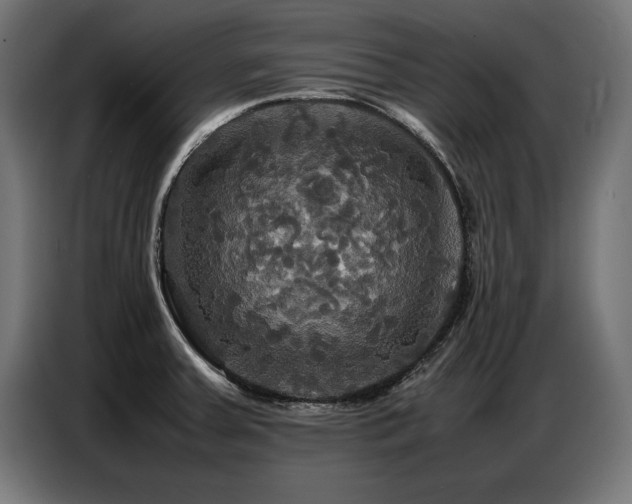 X0000087711379200705041050