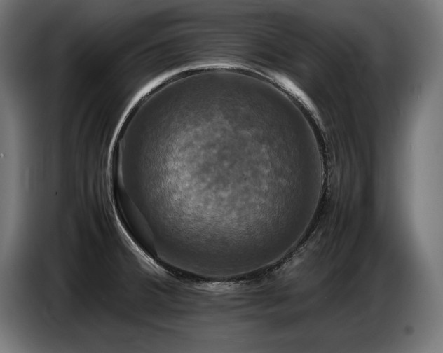 X0000087711380200705041050