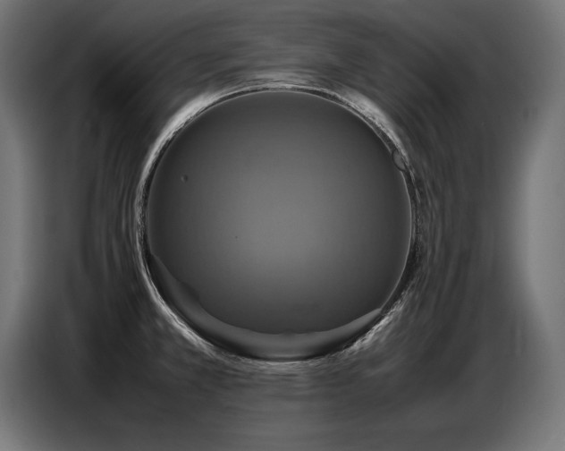 X0000087711381200705041050