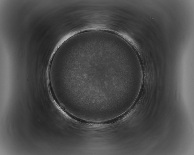 X0000087711382200705041050