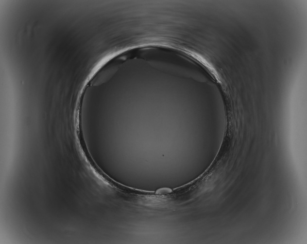 X0000087711383200705041050