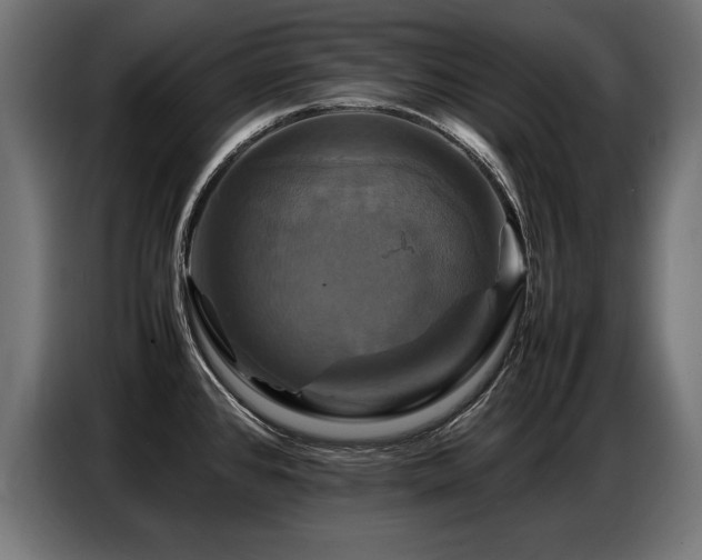 X0000087711384200705041050
