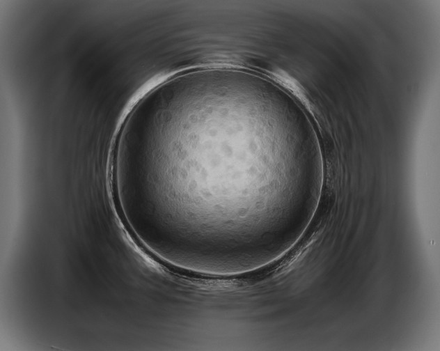 X0000087711387200705041050