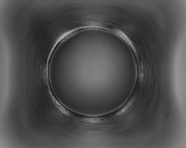 X0000087711388200705041050