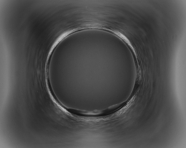 X0000087711389200705041050