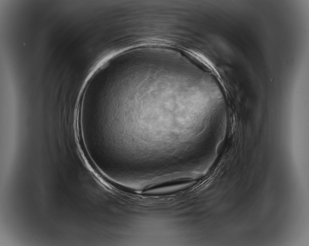 X0000087711391200705041050